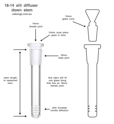 Empirical Glass Beaker 37cm Accented
